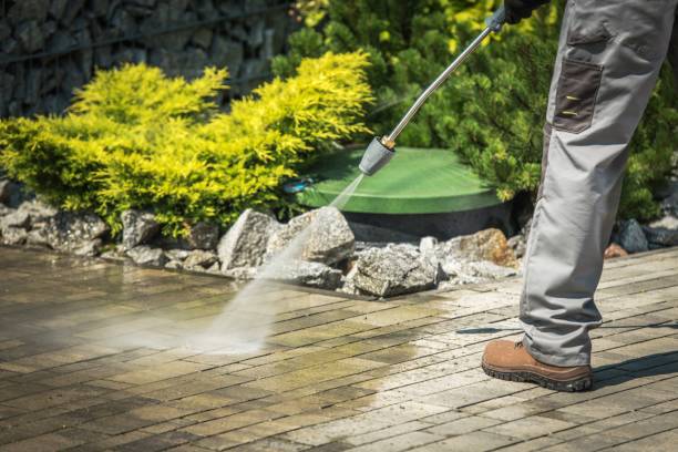 Best Patio and Deck Pressure Washing  in USA